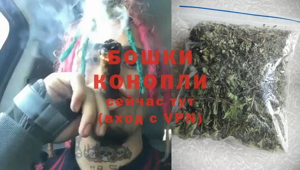 молекула духа Волоколамск