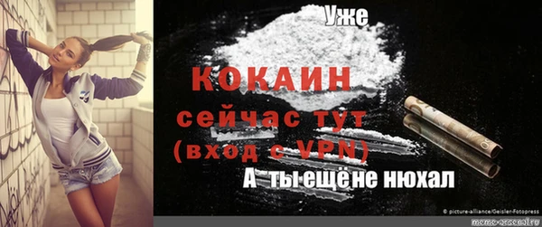 молекула духа Волоколамск